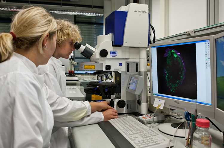 Frau und junger Mann, beide blond, sitzen an Schreibtisch, junge blickt durch Mikroskop, rechts im Bild Monitore und Tastatur
